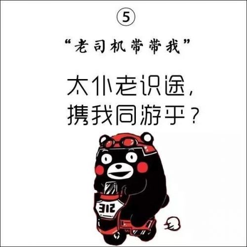 老司机带带我